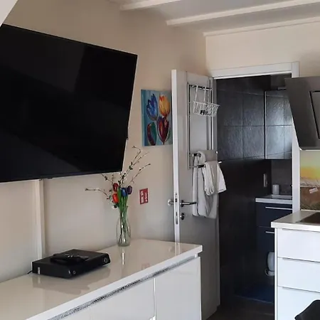 Zeepieper Holiday home *