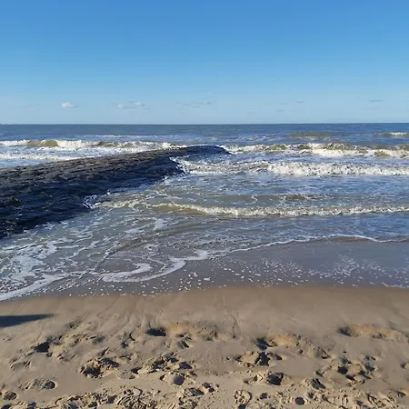 Zeepieper Prázdninový dům Bredene