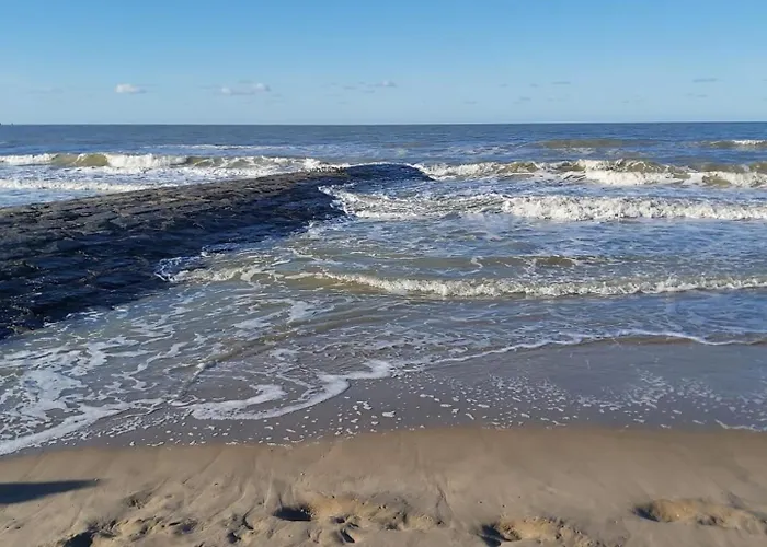 Zeepieper Hébergement de vacances Bredene